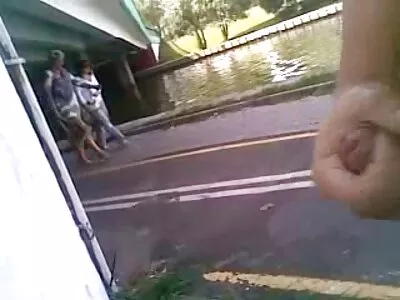 ველური უკანალი იძირება სახლში