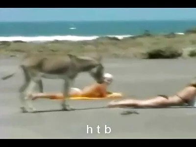გამხდარი კნუტი იწვა