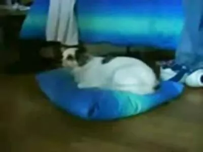სექსი ცხელ მეუღლესთან
